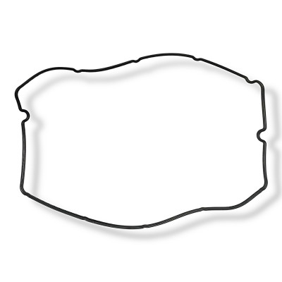 Прокладка клапанной крышки JAC N56