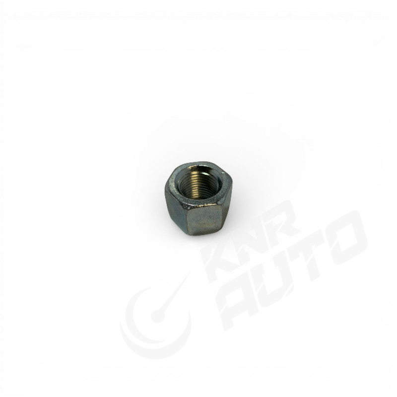 Гайка стремянки передней JAC N56-2902022LE010